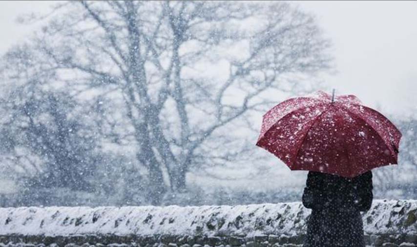 Có một ông nông dân dậy từ rất sớm, nói với vợ sẽ đi làm đồn